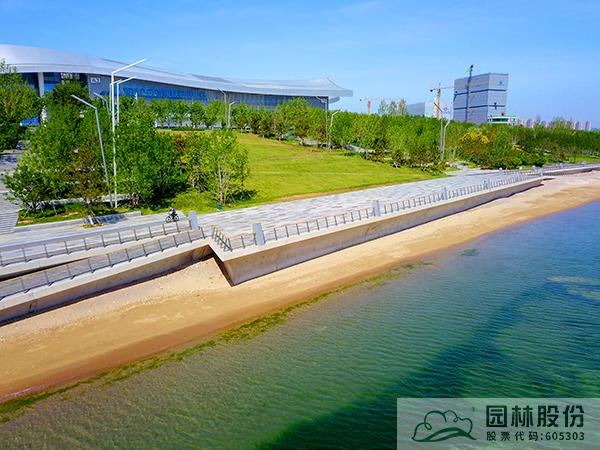 亚洲精品白浆高清久久久久久