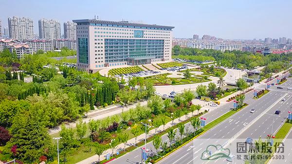 亚洲精品白浆高清久久久久久