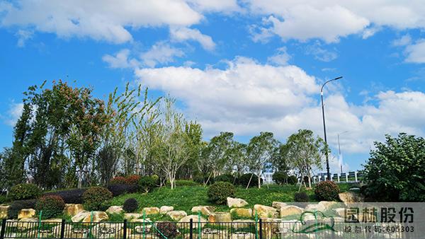 亚洲精品白浆高清久久久久久