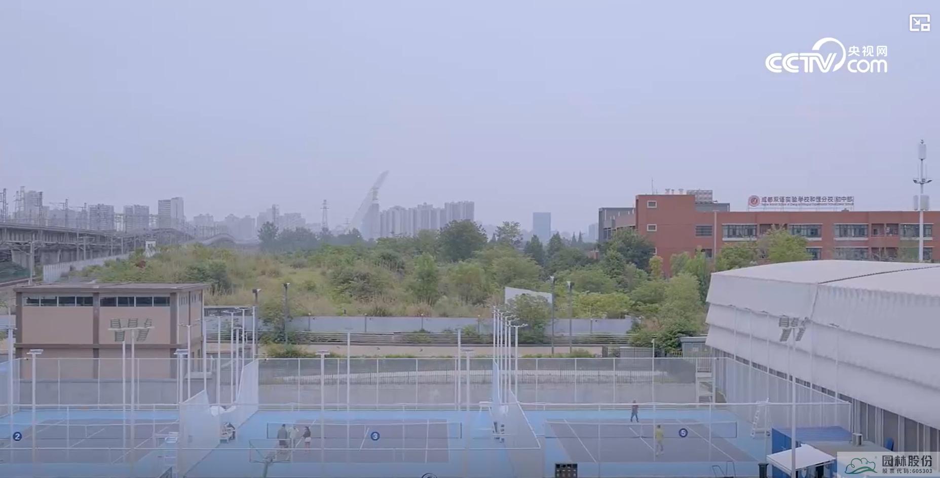 亚洲精品白浆高清久久久久久