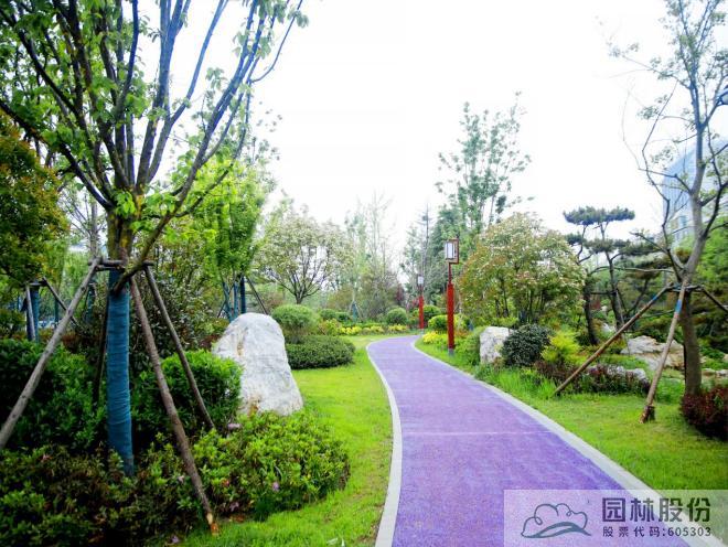 亚洲精品白浆高清久久久久久