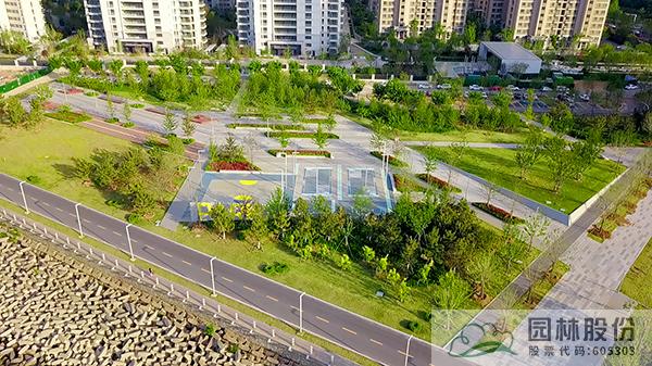 亚洲精品白浆高清久久久久久