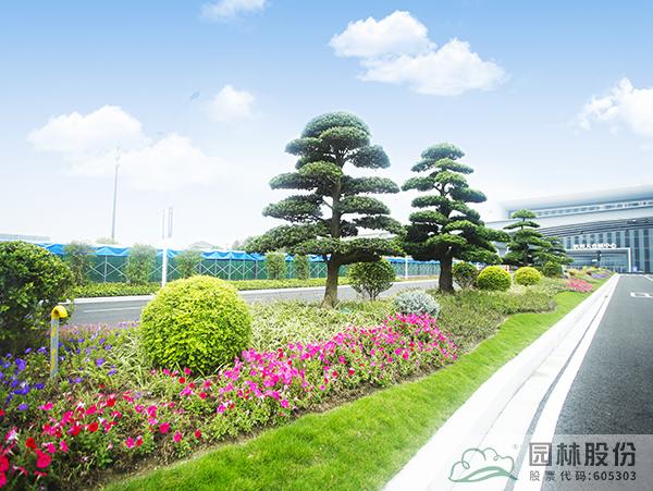 亚洲精品白浆高清久久久久久