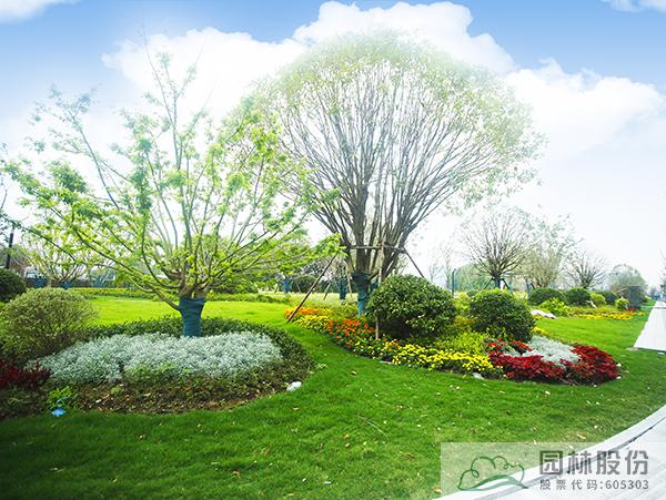 亚洲精品白浆高清久久久久久