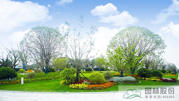 亚洲精品白浆高清久久久久久