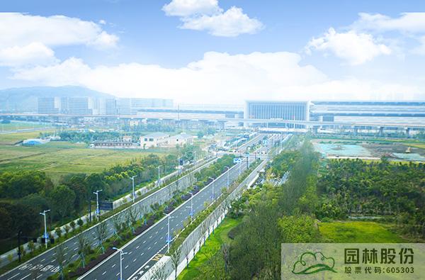 亚洲精品白浆高清久久久久久