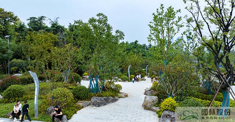 亚洲精品白浆高清久久久久久