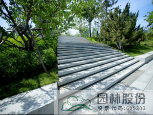 亚洲精品白浆高清久久久久久