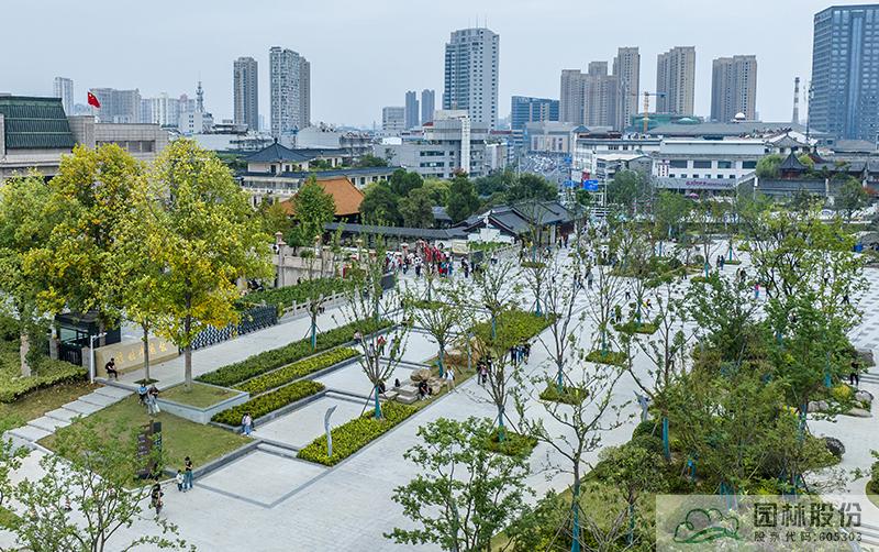 亚洲精品白浆高清久久久久久