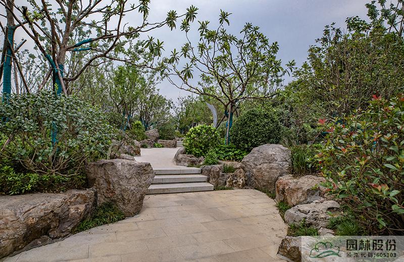 亚洲精品白浆高清久久久久久