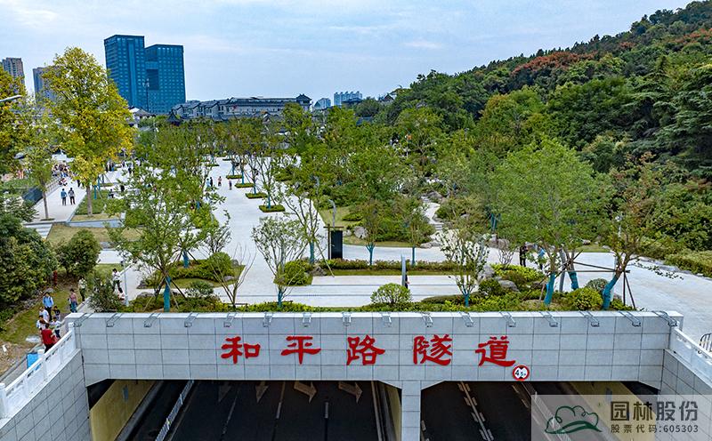 亚洲精品白浆高清久久久久久