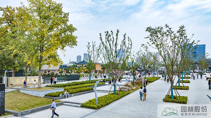 亚洲精品白浆高清久久久久久