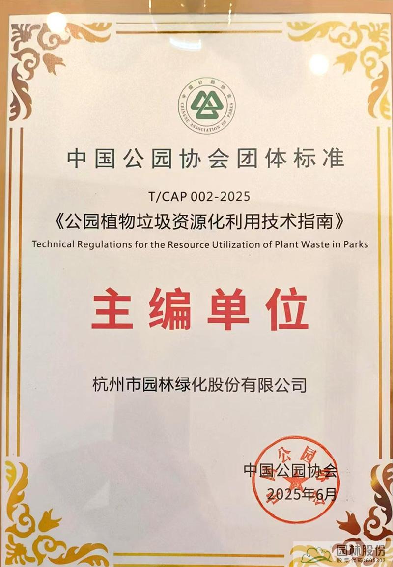 亚洲精品白浆高清久久久久久