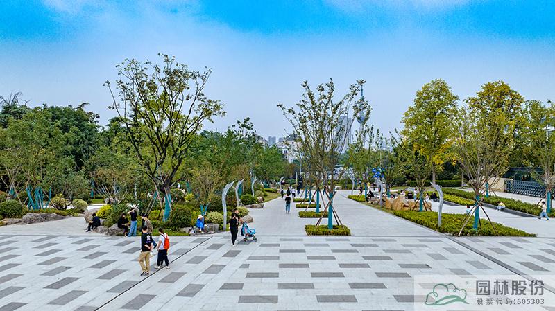 亚洲精品白浆高清久久久久久