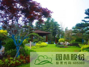 亚洲精品白浆高清久久久久久