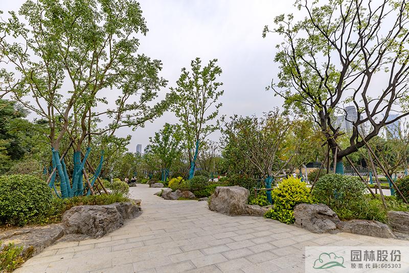 亚洲精品白浆高清久久久久久