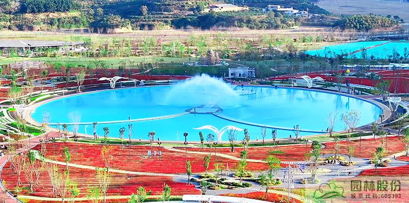 亚洲精品白浆高清久久久久久