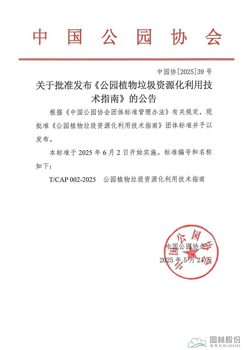 亚洲精品白浆高清久久久久久