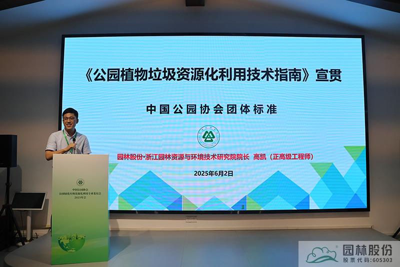 亚洲精品白浆高清久久久久久