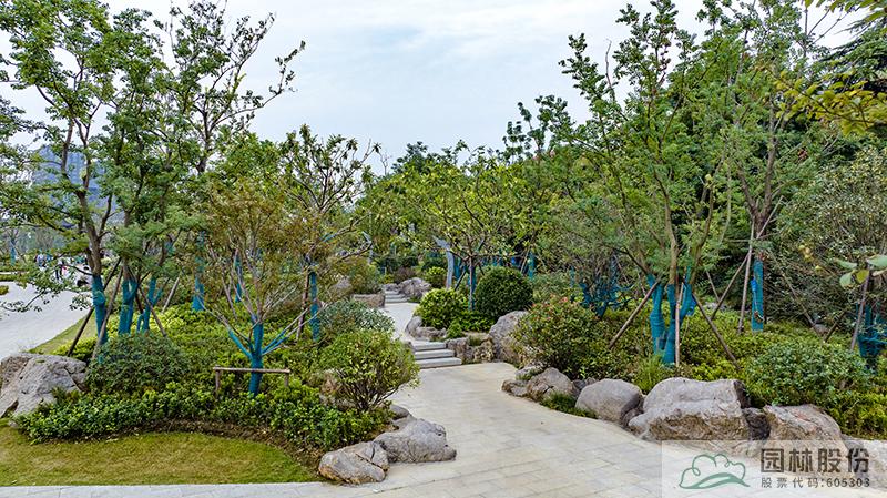 亚洲精品白浆高清久久久久久