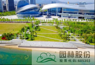 亚洲精品白浆高清久久久久久