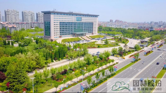 亚洲精品白浆高清久久久久久