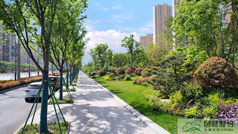 亚洲精品白浆高清久久久久久