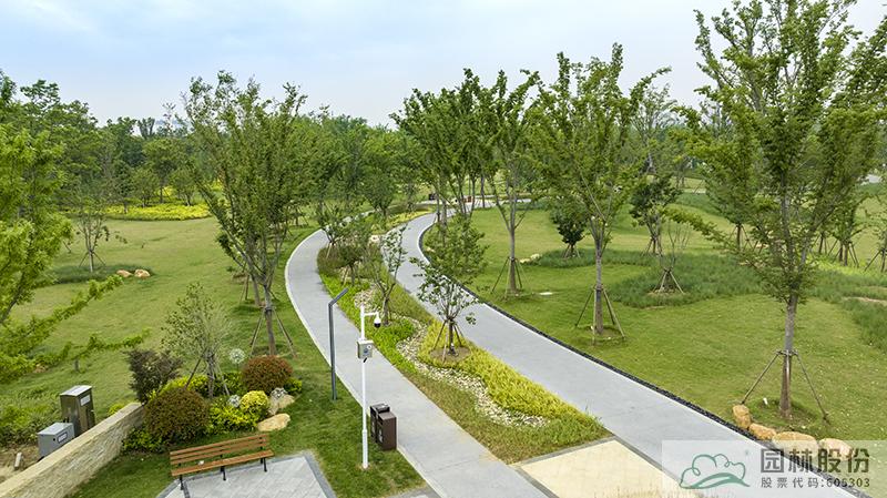 亚洲精品白浆高清久久久久久