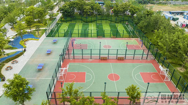 亚洲精品白浆高清久久久久久