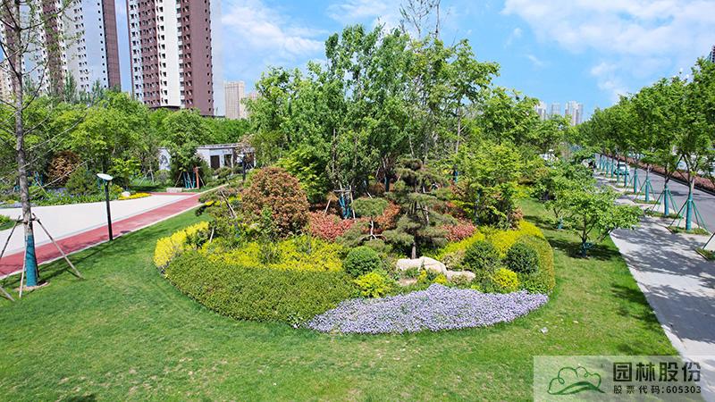 亚洲精品白浆高清久久久久久