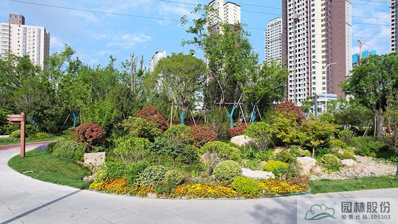 亚洲精品白浆高清久久久久久