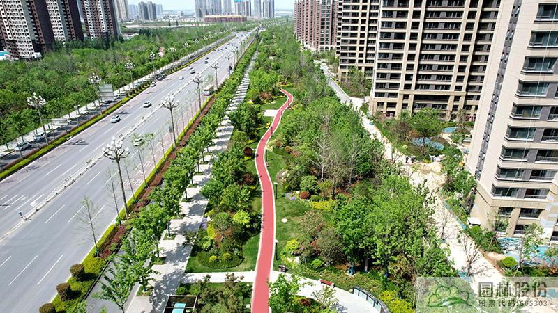 亚洲精品白浆高清久久久久久