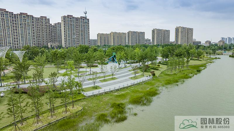 亚洲精品白浆高清久久久久久