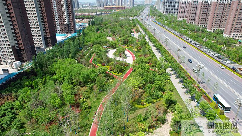 亚洲精品白浆高清久久久久久