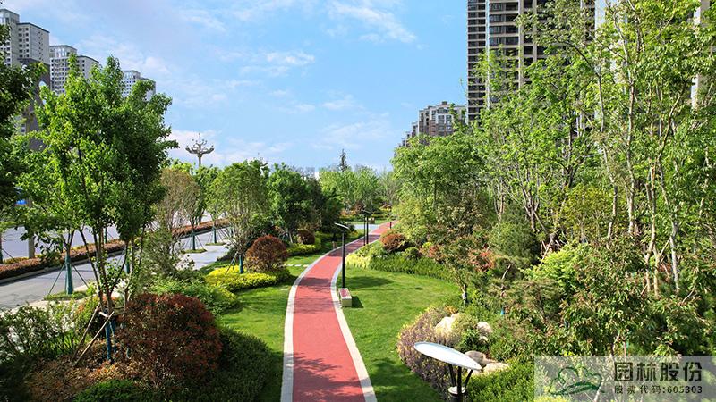 亚洲精品白浆高清久久久久久