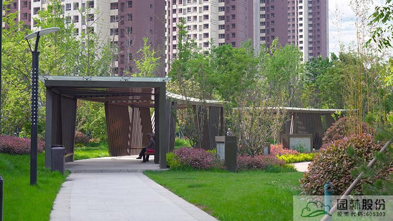 亚洲精品白浆高清久久久久久