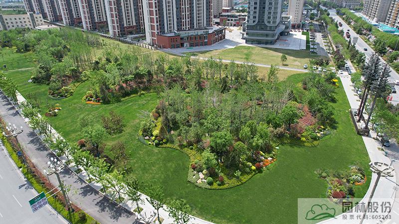 亚洲精品白浆高清久久久久久