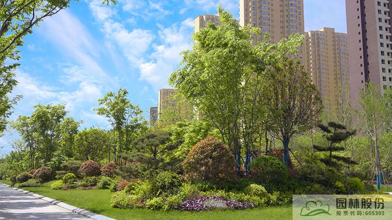 亚洲精品白浆高清久久久久久