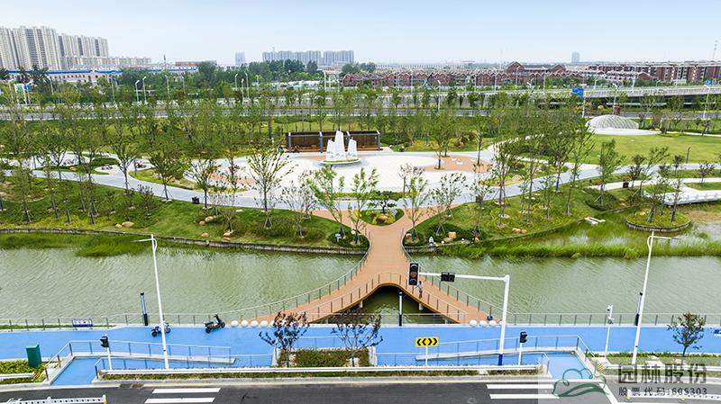 亚洲精品白浆高清久久久久久