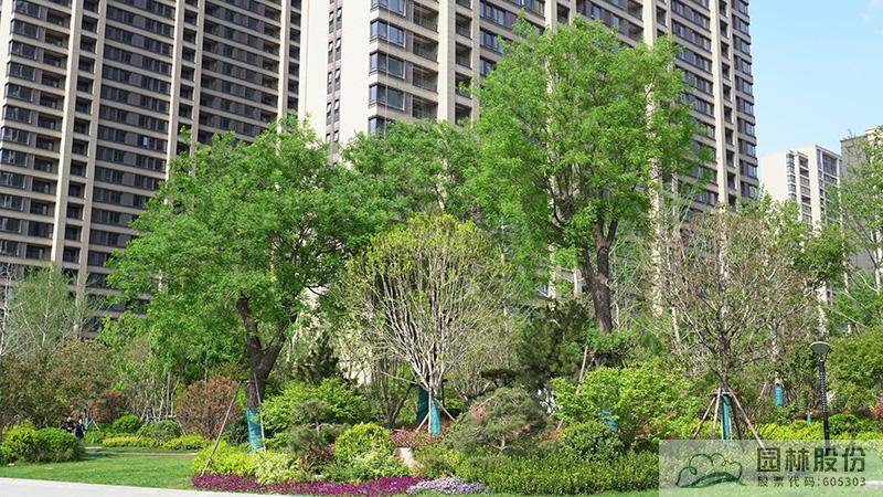 亚洲精品白浆高清久久久久久