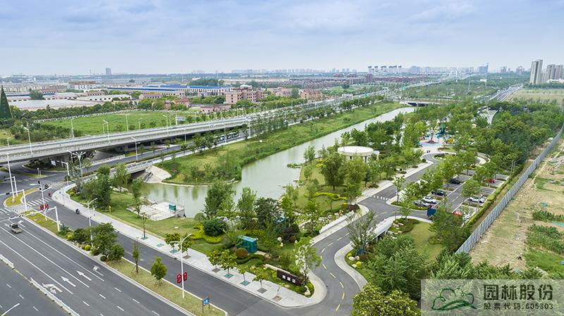 亚洲精品白浆高清久久久久久