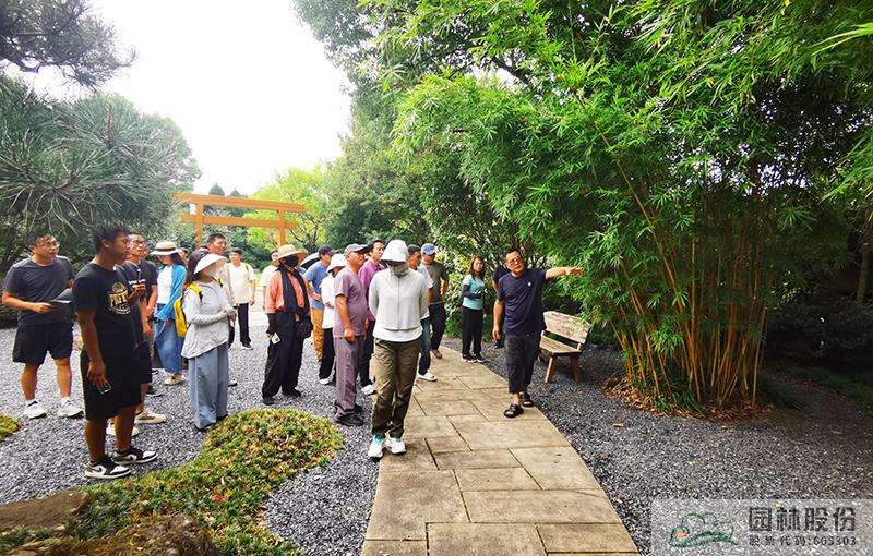 亚洲精品白浆高清久久久久久