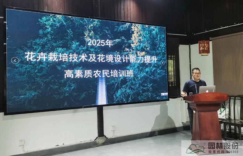 亚洲精品白浆高清久久久久久