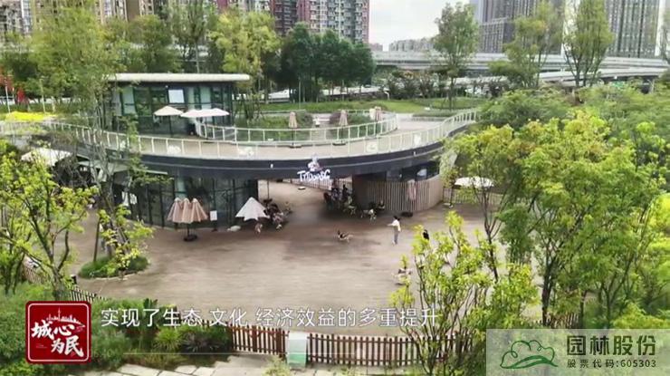 亚洲精品白浆高清久久久久久