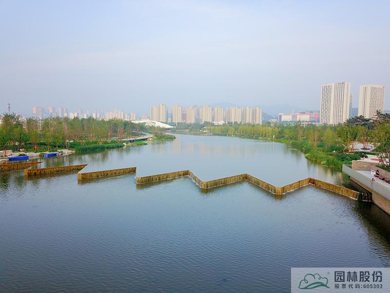 亚洲精品白浆高清久久久久久