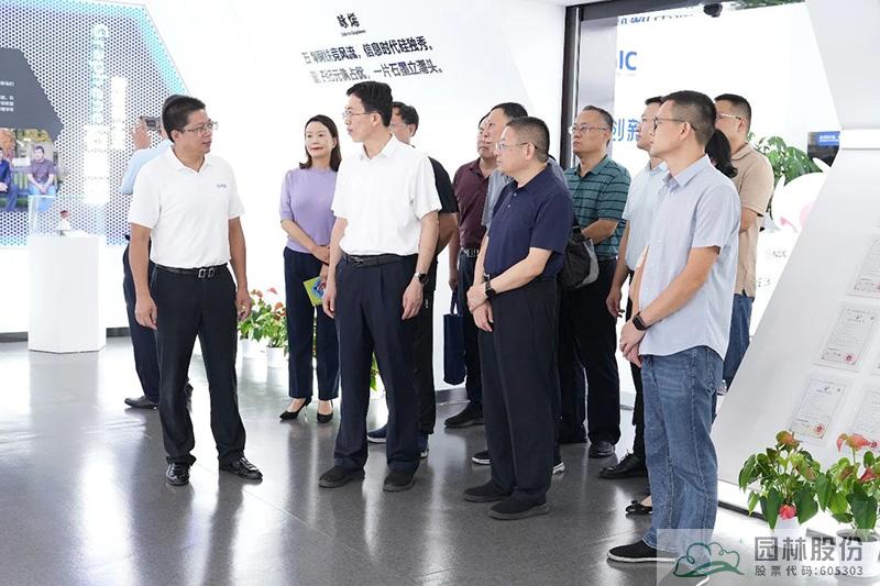 亚洲精品白浆高清久久久久久