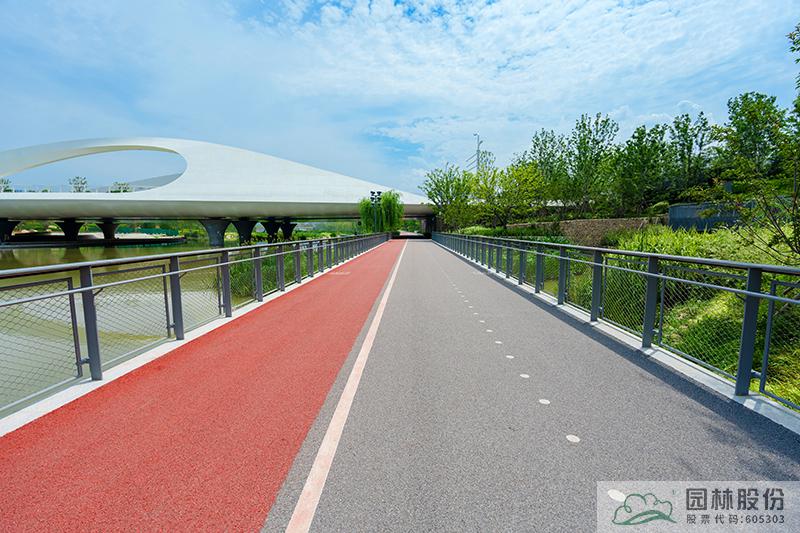 亚洲精品白浆高清久久久久久