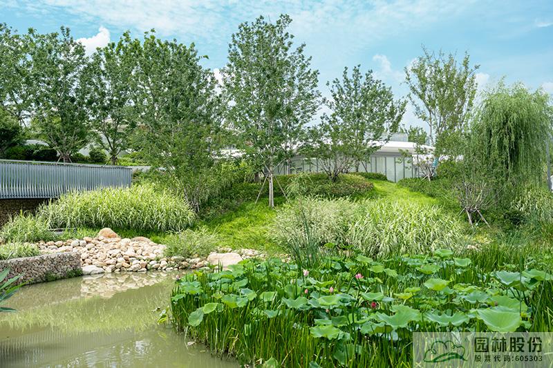 亚洲精品白浆高清久久久久久