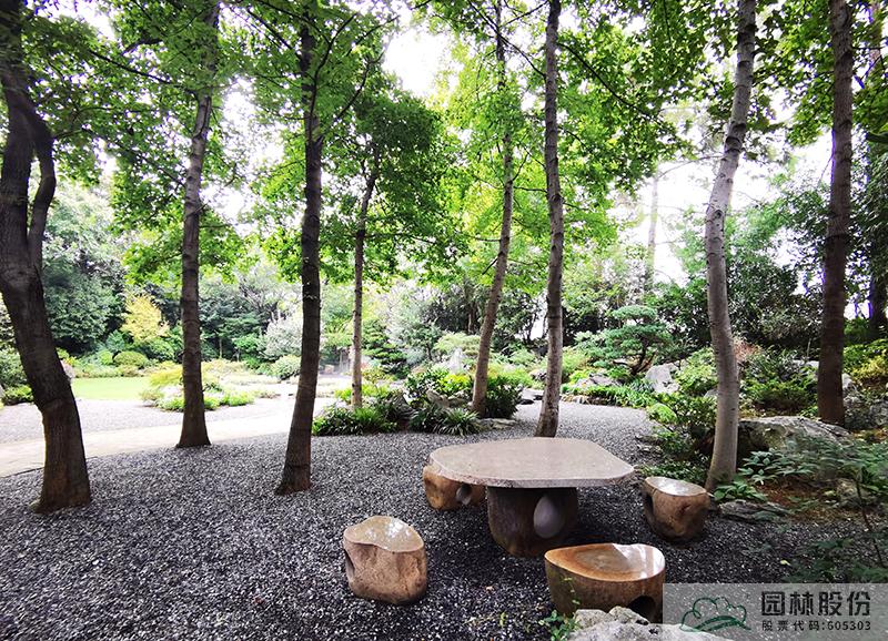 亚洲精品白浆高清久久久久久