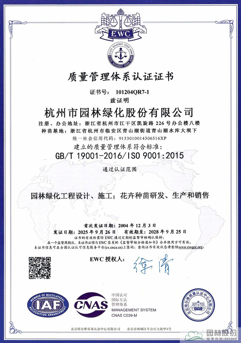 亚洲精品白浆高清久久久久久